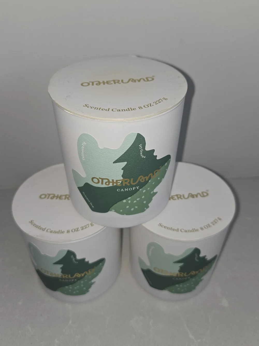 Three (3) Otherland Scent Candles 8 oz Canopy Ivy Fig Summer Dew New